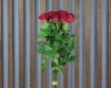 Роза 80 см 