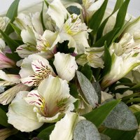 Букет из 9 альстромерий и эвкалипта