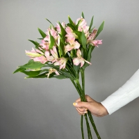 Букет с альстромерией