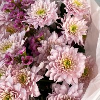 Букет из 5 хризантем и хамелациума