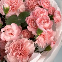 Букет из кустовой и голландской гвоздики