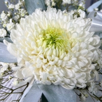 Цветы в стаканчике с гипсофилой и хризантемой