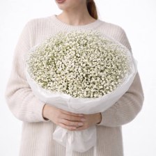Букет из 15 белых гипсофил