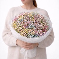 Букет из 15 цветных гипсофил