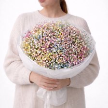 Букет из 15 цветных гипсофил