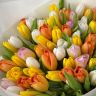 Акция! Букет из 71 разноцветного тюльпана