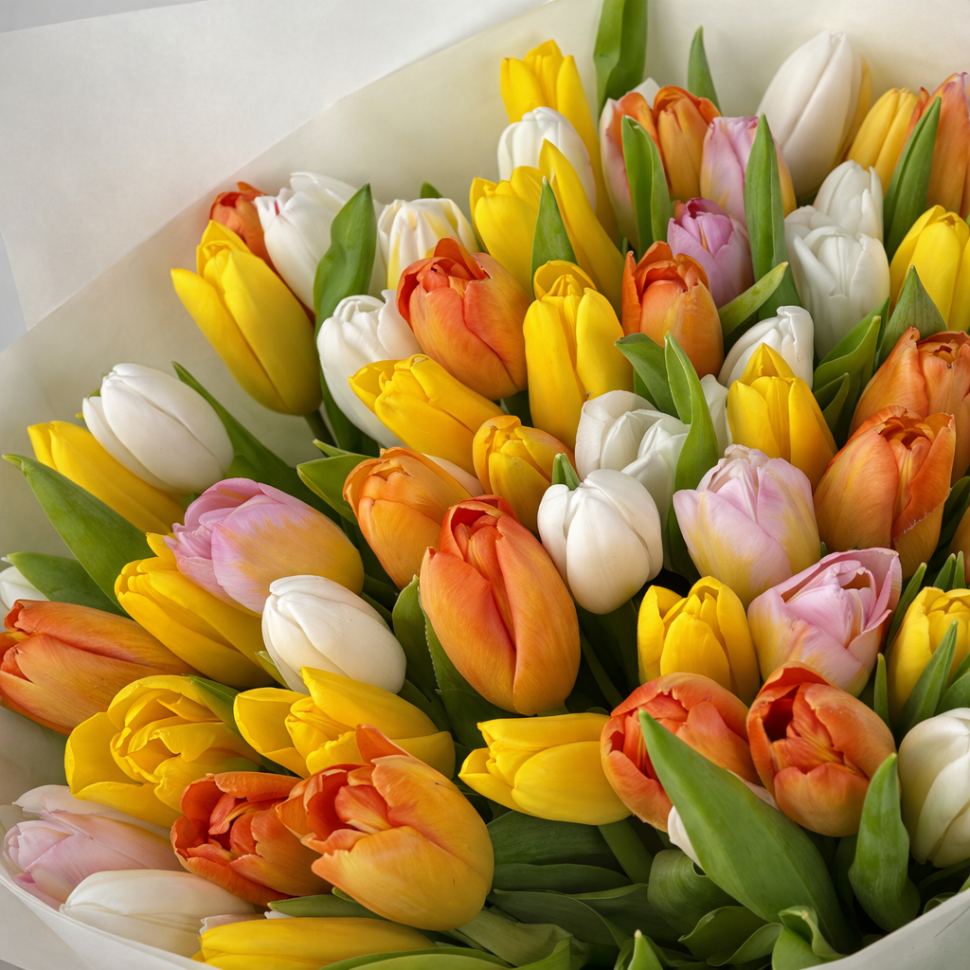 Акция! Букет из 71 разноцветного тюльпана