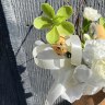 Стаканчик с гвоздикой, хелеборусом и ветками