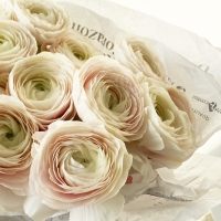 Букет из 15 ранункулюсов