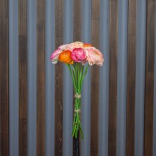 Ранункулюс 