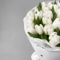 Букет из 29 тюльпанов