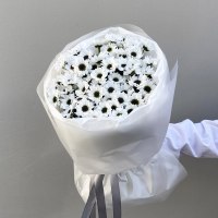 Букет из 11 хризантем