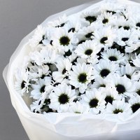 Букет из 11 хризантем