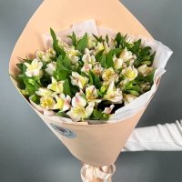 Букет из 17 альстромерий