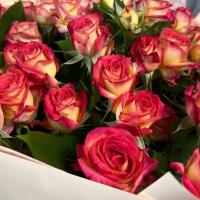 Букет из 15 роз с рускусом