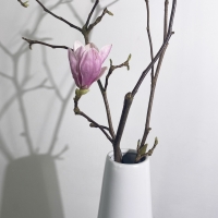 Ваза весенняя №01