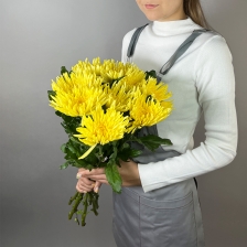 Букет из 9 желтых хризантем