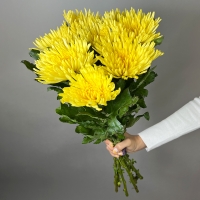 Букет из 9 желтых хризантем