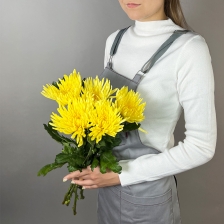 Букет из 5 желтых хризантем