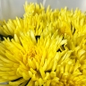 Букет из 5 желтых хризантем