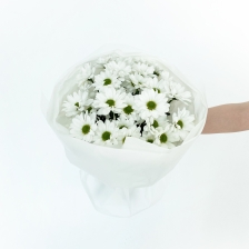 Букет из 5 кустовых хризантем