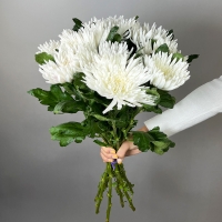 9 белых хризантем