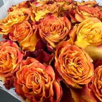 Букет из 25 роз 60 см.