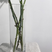 Ваза весенняя №07