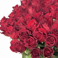 Букет из 51 красной розы 80 см по акции