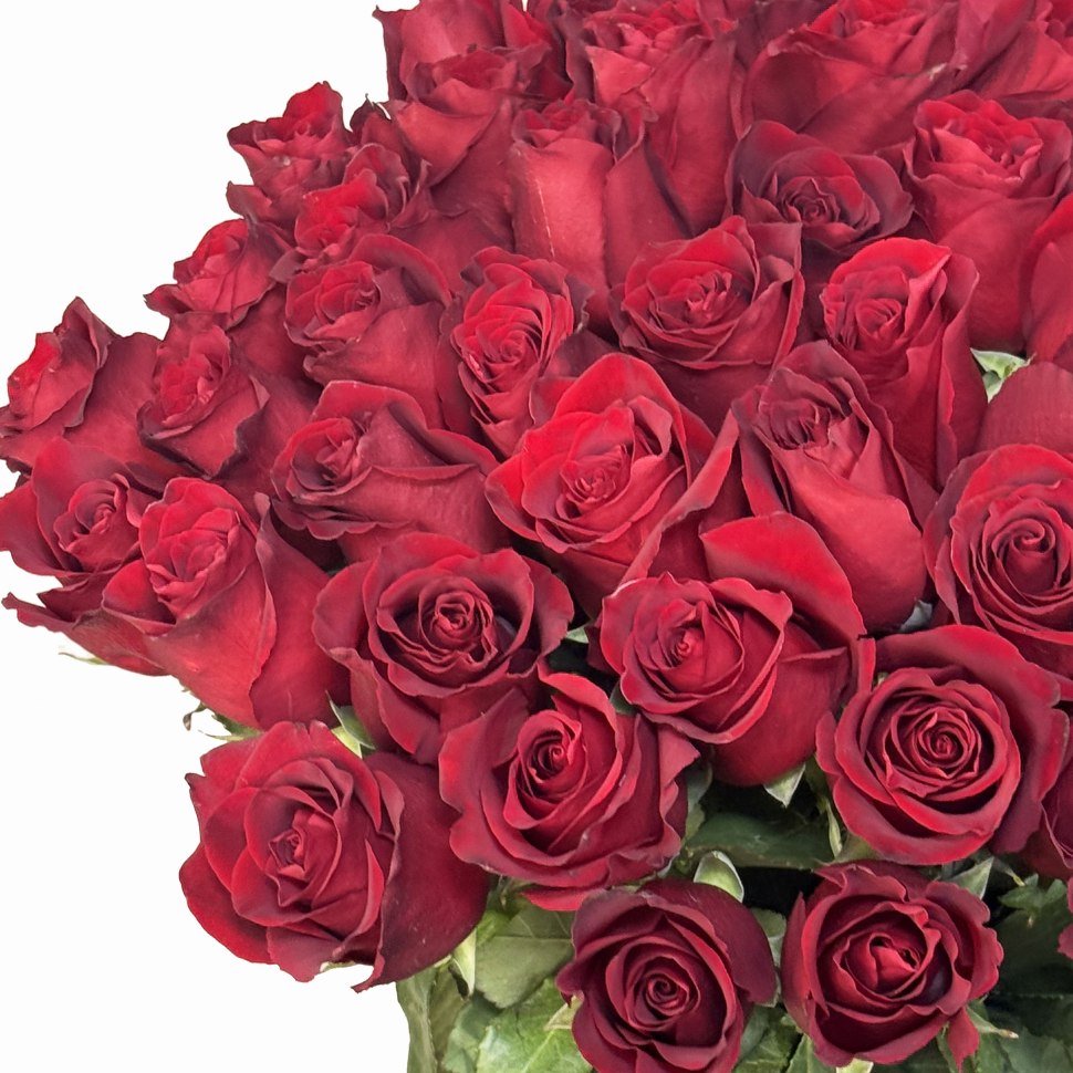 Букет из 51 красной розы 80 см по акции