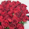 Букет из 51 красной розы 80 см по акции
