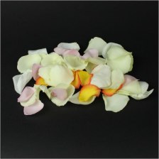 Лепестки роз